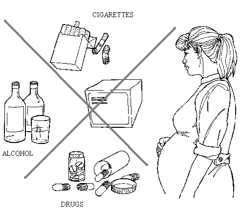 495x439 Health And Safety For Women And Children