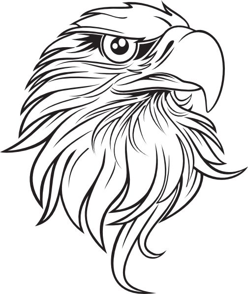 504x598 Gallery Black And White Eagle Sketch,
