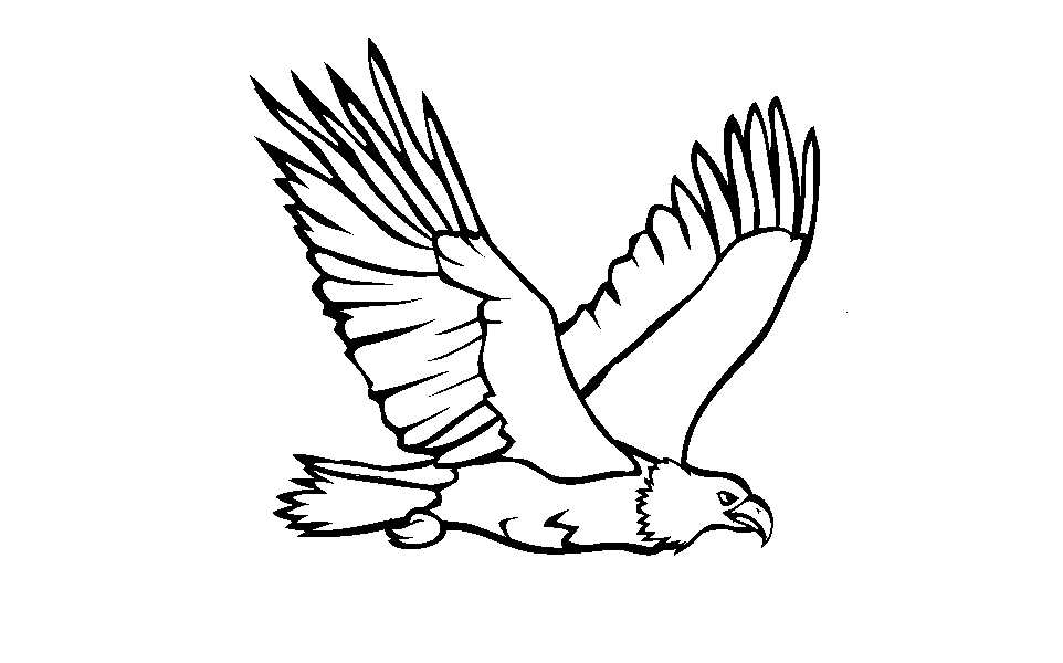 962x600 Photos Simple Eagle Drawing,