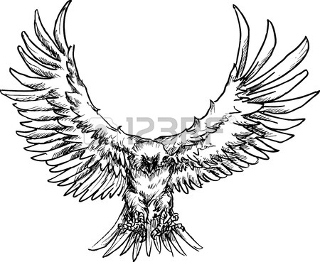 450x369 American Eagle Stock Photos. Royalty Free Business Images