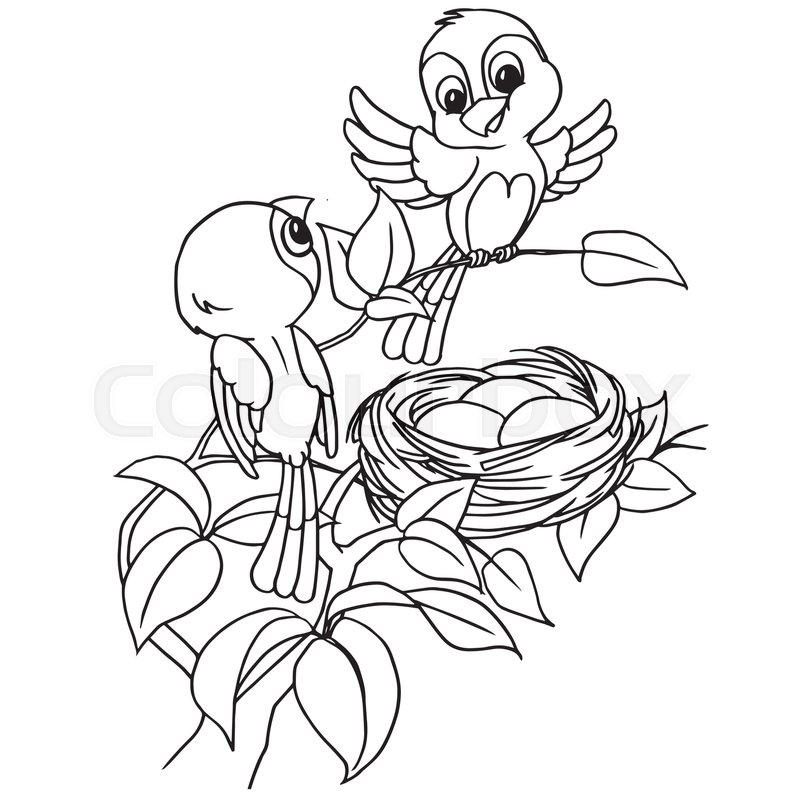800x800 Cartoon Bird Egg In Nest Coloring Page Vector Stock Vector