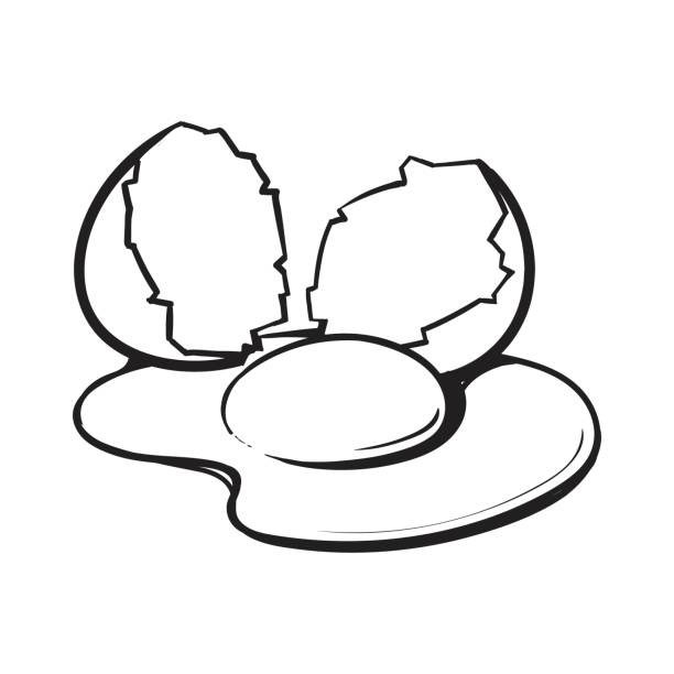612x612 Cracked Egg Clipart Black And White