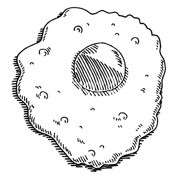 600x598 Drawing Fried Egg Coloring Pages