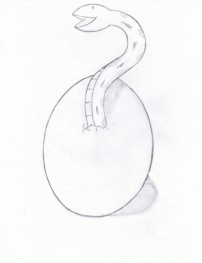 691x900 In Egg Drawing By Levi Thompson