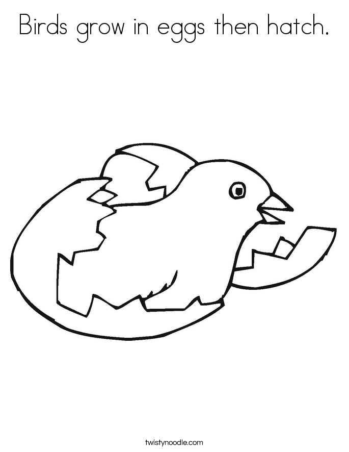 685x886 Birds Grow In Eggs Then Hatch Coloring Page