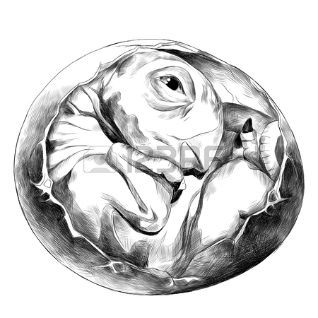450x450 Dinosaur Egg Hatched Rolled Into A Ball Newborn Sketch Vector
