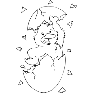 300x300 Duck Hatching From Egg Coloring Page