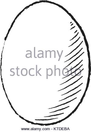 300x433 Broken Egg With Yolk Sketch Icon Stock Vector Art Amp Illustration