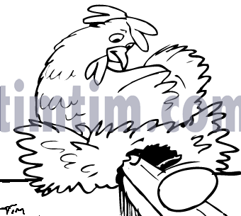 340x305 Free Drawing Of Hen Laying Egg Bw From The Category Farm Animals