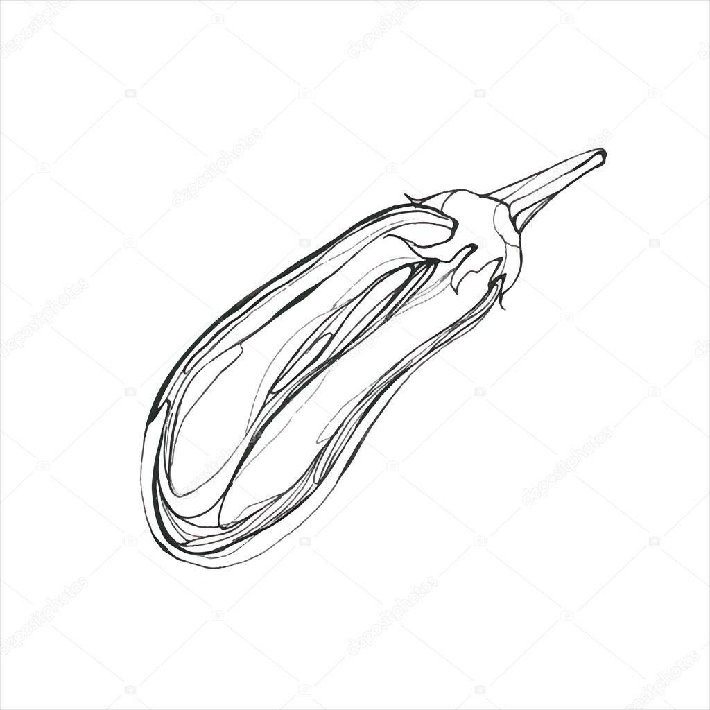 1024x1024 Hand Drawn Eggplant On The White Background Stock Vector