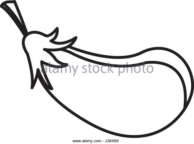 640x476 Outline Eggplant Vegetable Healthy Nutrition Stock Photos
