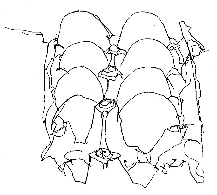 900x811 Eggs Carton Line Drawing Chris Carter Artist 120912 Webs Chris