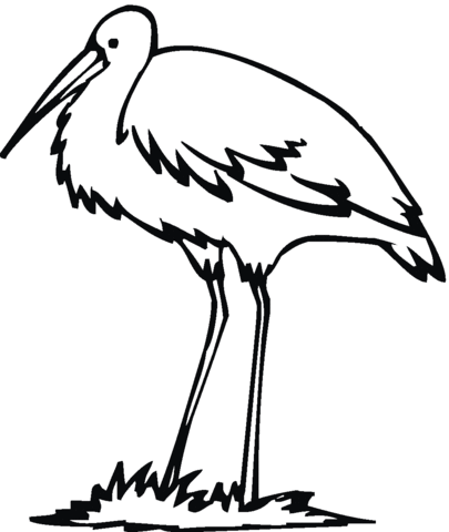 405x480 Egret Bird Coloring Page Free Printable Coloring Pages