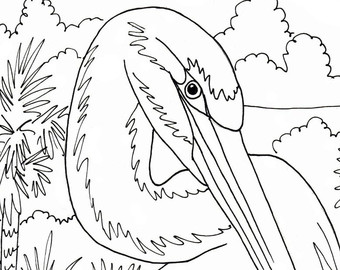 340x270 Egret Coloring Page