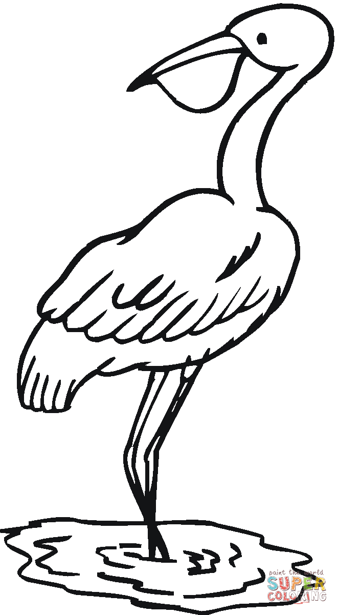 661x1200 Egret Coloring Page Free Printable Coloring Pages