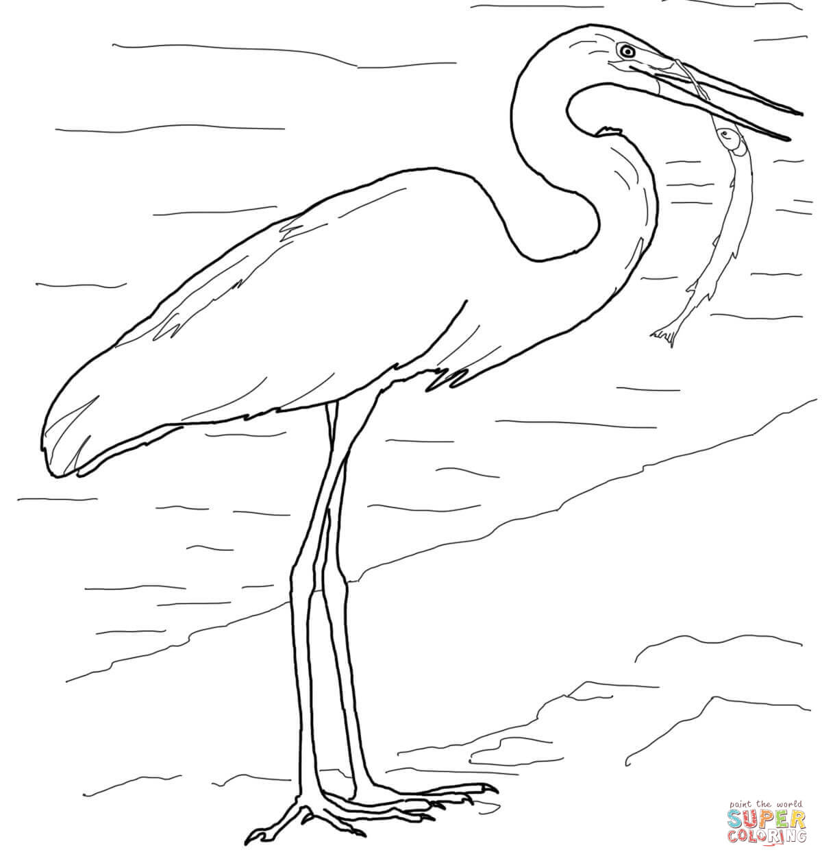 1200x1256 Egrets Coloring Pages Free Coloring Pages