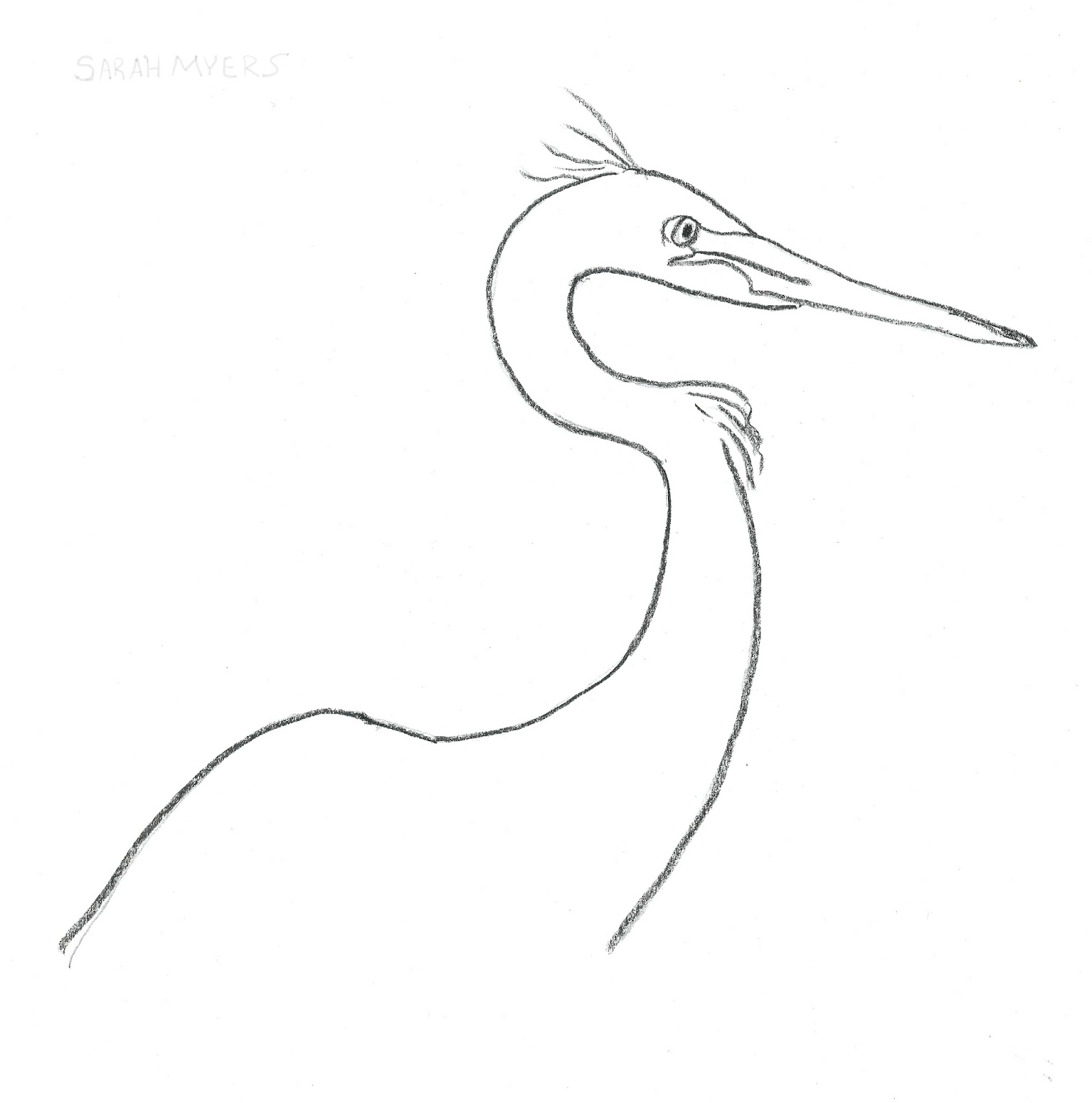 1584x1600 Head Of An Egret. Minimal Line Drawing In Charcoal, Sarah Myers