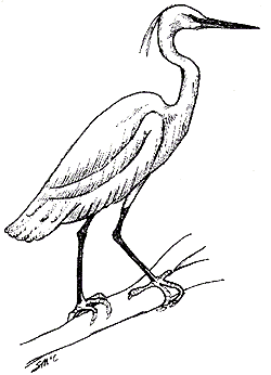 250x346 Okavango River