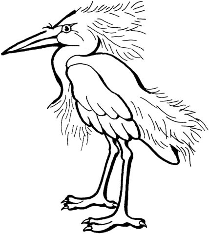 428x480 Snowy Egret Coloring Page Free Printable Coloring Pages