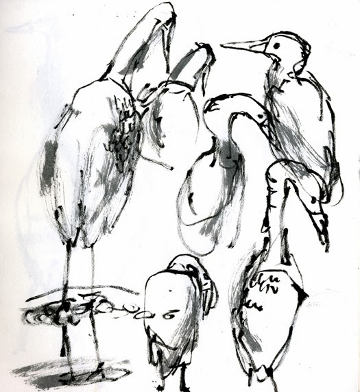 525x572 The Art Inside Egrets