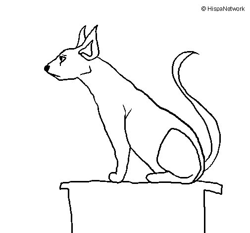 505x470 Egyptian Cat Ii Coloring Page