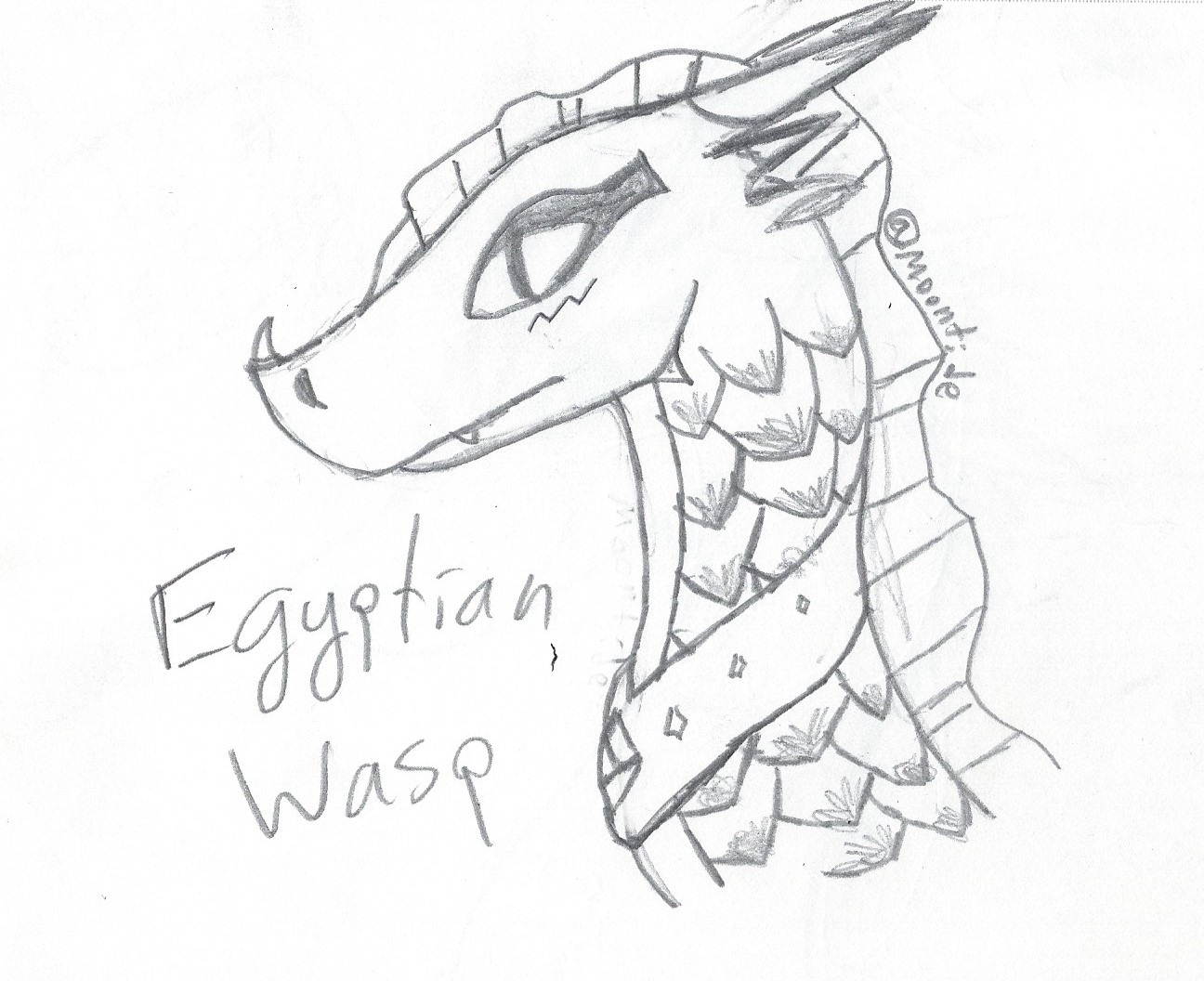 1296x1056 Egyptian Wasp The Queen Of Bees Wings Of Fire Fanon Wiki