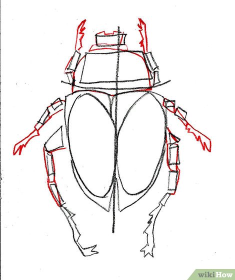 470x560 How To Draw A Scarab Beetle 9 Steps (With Pictures)