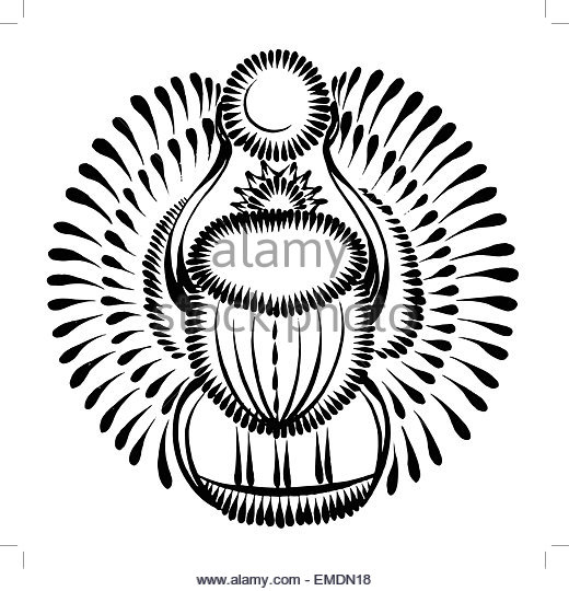 520x540 Scarab Beetle Black And White Stock Photos Amp Images