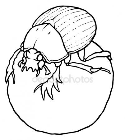 402x450 Scarab Beetle Stock Vector Perysty