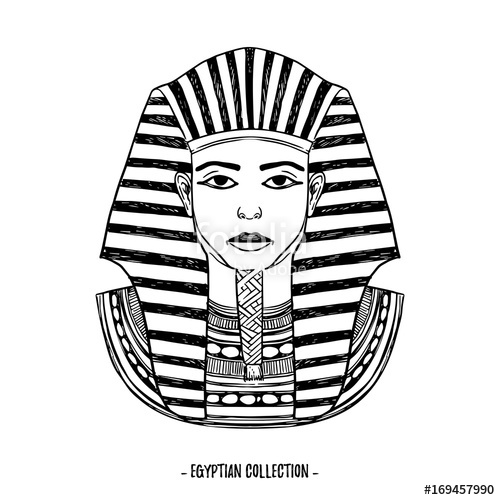 500x500 Hand Drawn Vector Illustration