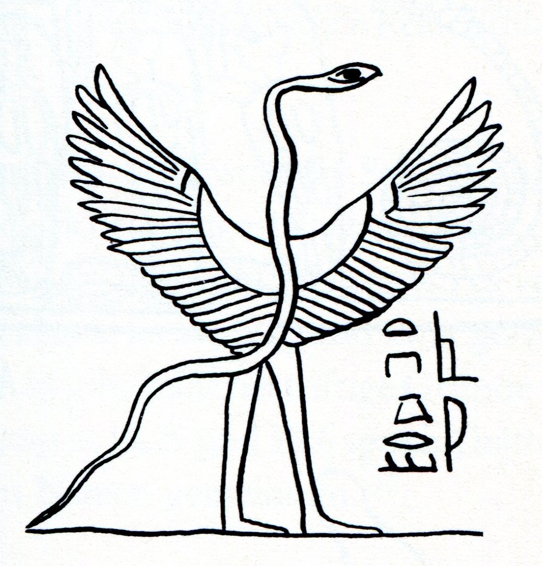 1073x1121 Ancient Pterosaur Depictions Genesis Park