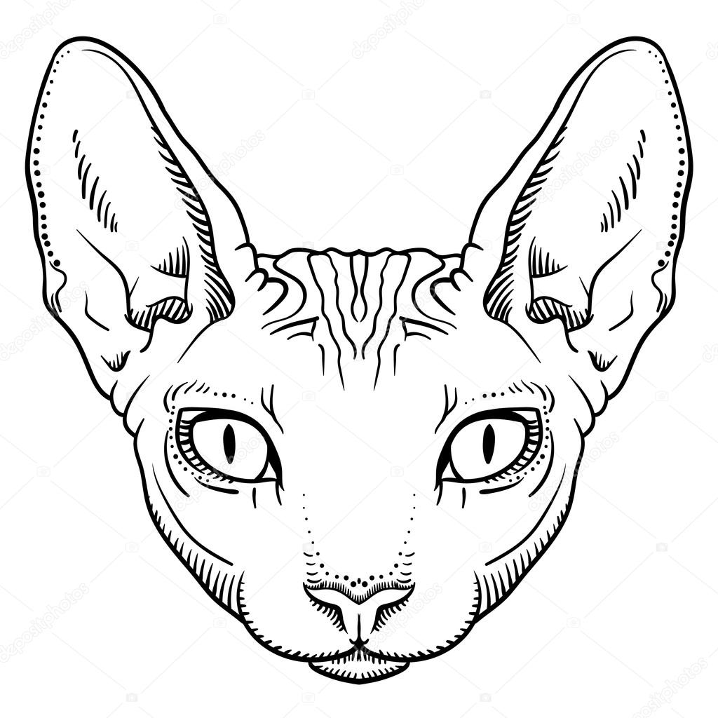 1024x1024 Sphinx Stock Vectors, Royalty Free Sphinx Illustrations