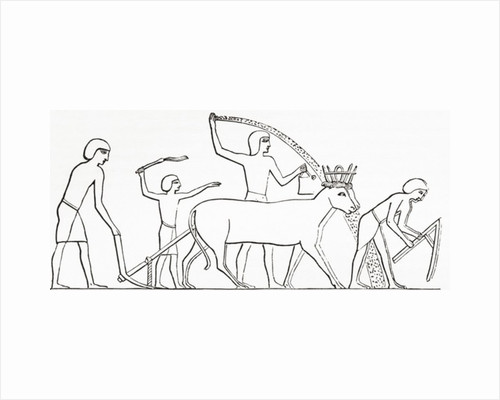 500x400 Ancient Egypt Posters Ancient Egypt Prints