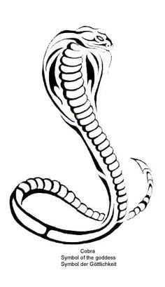 236x409 Drawn Cobra Egyptian Cobra