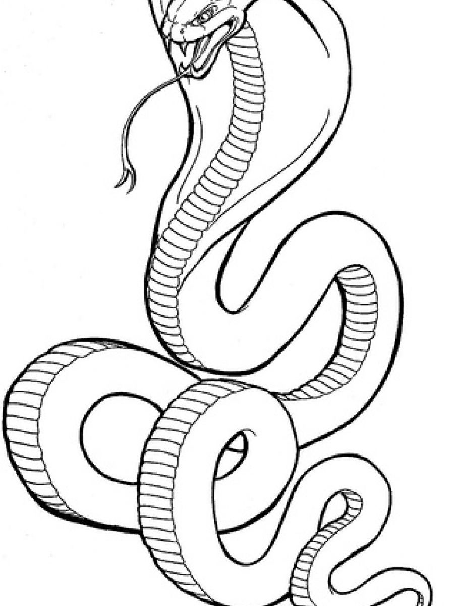 900x1200 King Cobra Coloring Page Free Printable Pages Animals Cadabra