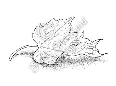 400x298 24 Best Buildings Images On Tour Eiffel, Drawings