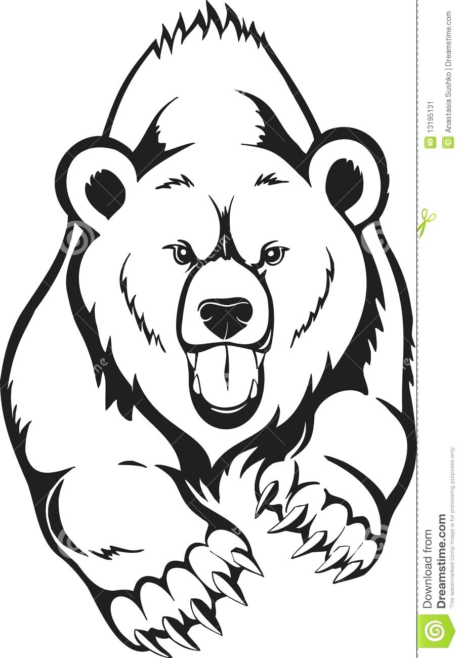 913x1300 Coloring Grizzly Bear Coloring Page Color Free Printable Pages