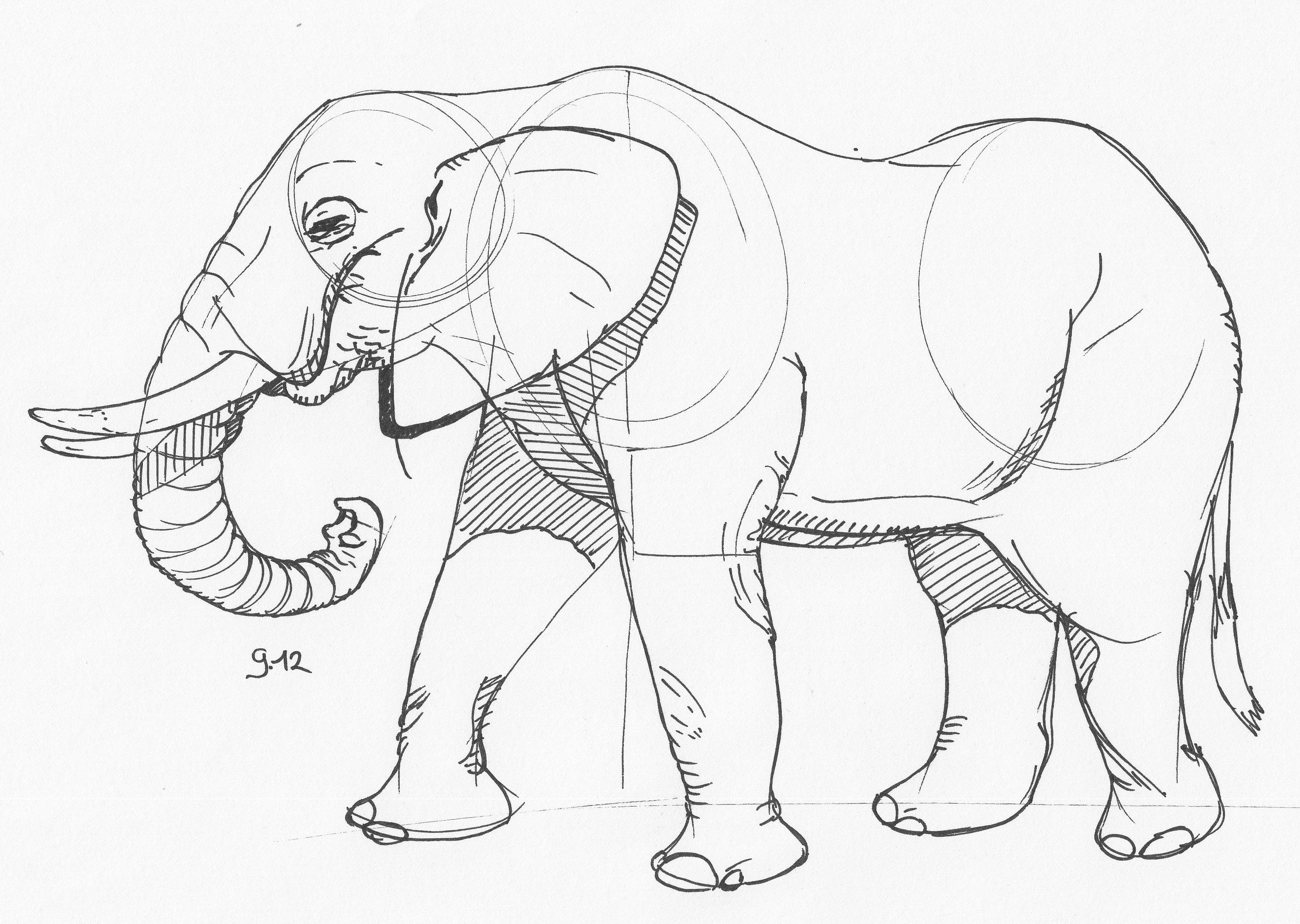 2667x1896 December 9th