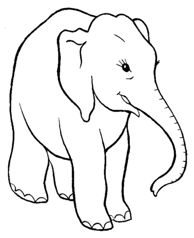670x820 Smart Elephant Coloring Pages Elephant Coloring Page And Kids