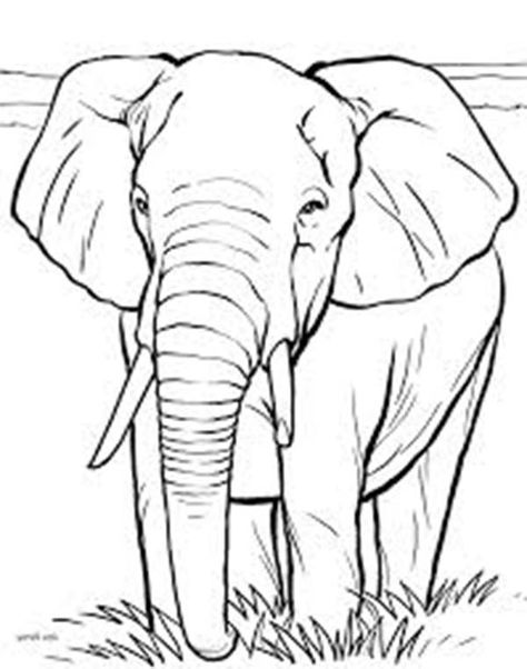 474x602 African Elephant Coloring Page Color Me African