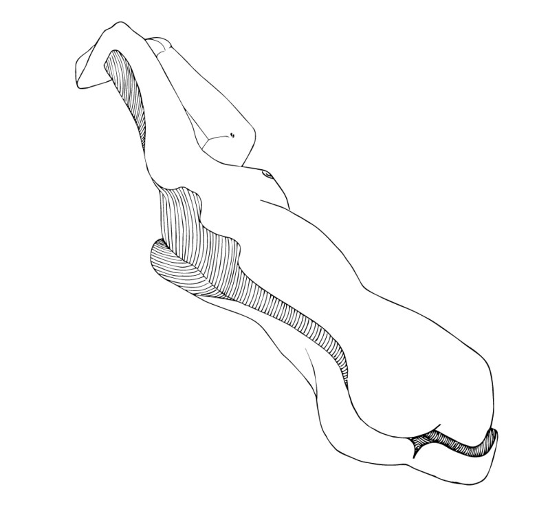 813x750 Life Drawing Inoutlines