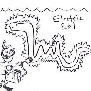 300x300 Electric Eel Outline Coloring Page Electric Eel Outline Coloring