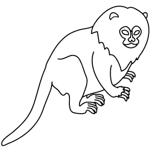 300x300 Learn How To Draw Animals Step By Step Page 100