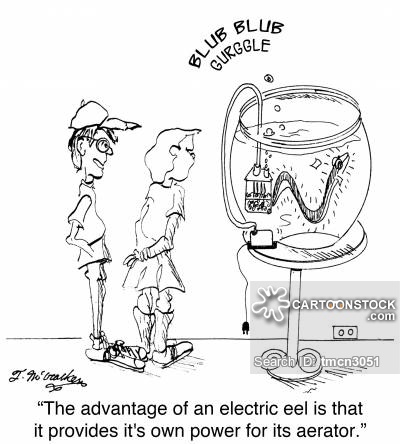 400x444 Pet Eel Cartoons And Comics