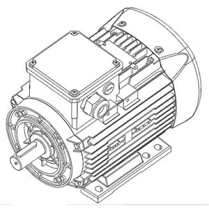 300x300 Electric Motors Euronorm Portal