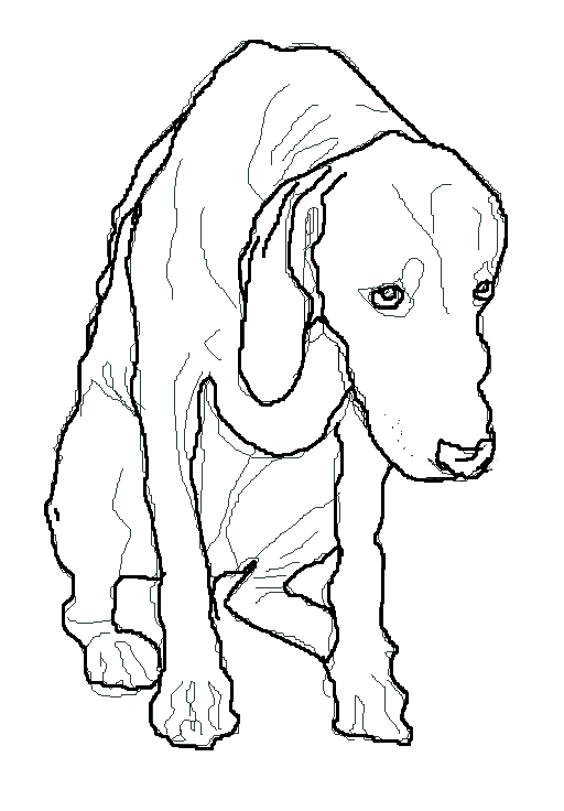 512x736 Primate Freedom Monsters Learned Helplessness Inescapable