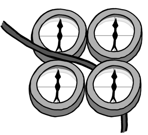 500x456 Natural Sciences Grade 8