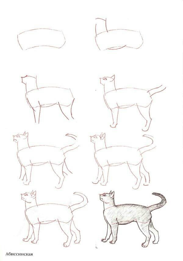 600x853 Pin By Luiz On Dilo Con Una Imagen Cat And Illustrations
