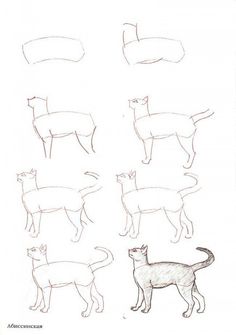 236x335 Dessiner Un Chat