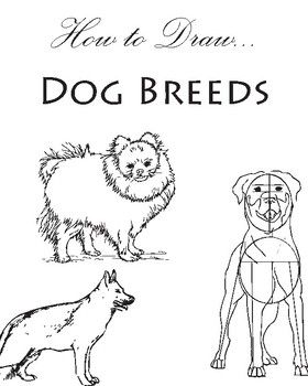 280x350 How To Draw Dog Breeds Elementary School Library, Basic Drawing